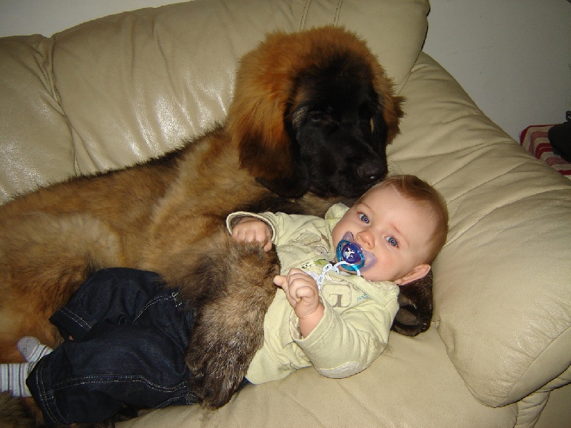  LEO en famille